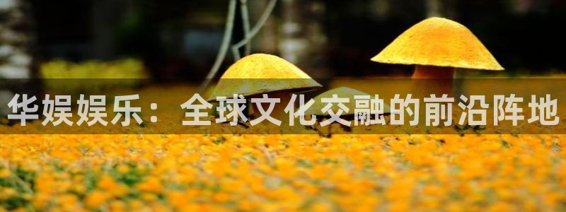 jdb电子网址：华娱娱乐：全球文化交融的前沿阵地