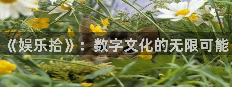 jdb电子app下载：《娱乐拾》：数字文化的无限可能