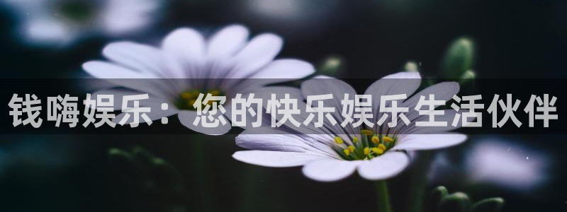 jdb电子飞鸟派对：钱嗨娱乐：您的快乐娱乐生活伙伴