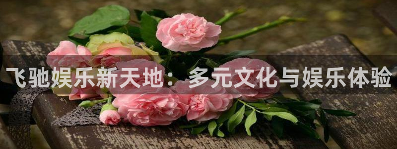 jdb电子夺宝官网：飞驰娱乐新天地：多元文化与娱乐体验
