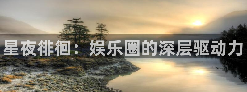 jdb电子在线登录：星夜徘徊：娱乐圈的深层驱动力
