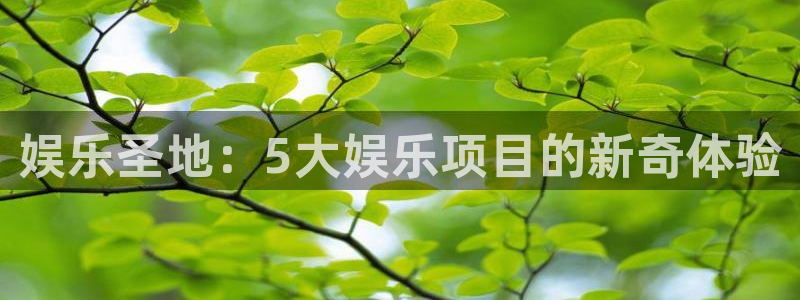 jdb电子官网登录入口：娱乐圣地：5大娱乐项目的新奇体验