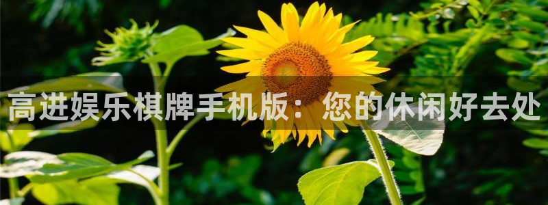 jdb电子试玩网址：高进娱乐棋牌手机版：您的休闲好去处