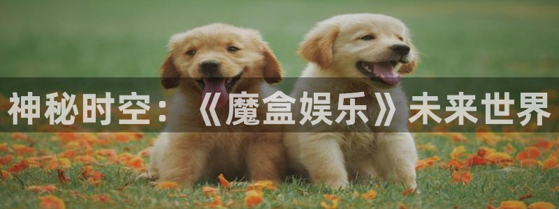 jdb电子网址大全：神秘时空：《魔盒娱乐》未来世界